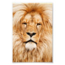 Recherche de fiert photographie Zoo