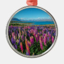 Search for new zealand ornaments Landscape