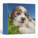 Search for cute dog binders Pets