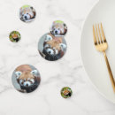 Search for panda confetti Animal