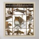 Recherche de ester posters Oiseau