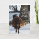Search for sheep christmas cards Livestock