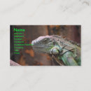Recherche de animaux exotiques cartes visite Lézard