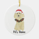 Search for poodle ornaments Watercolor