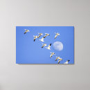 Search for take flight Blue sky