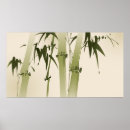 Search for bamboo background posters Design