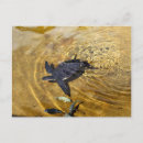 Recherche de watt postcards cartes postales Vacances