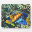 Search for wild one mousepads Outdoor