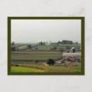 Search for grasshoppers postcards Nature