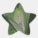 Search for larvae stickers Caterpillar