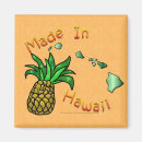 Recherche de ananas jaune magnets Hawaii