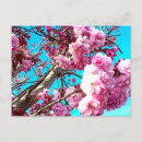 Recherche de peintures printemps cartes postales Floral