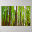 Search for maple posters Abstract