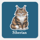Recherche de chat sibérien autocollants Animal
