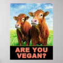 Search for vegan posters Cows