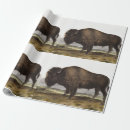 Search for bison wrapping paper Mammal