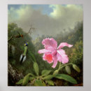 Recherche de heade martin johnson posters Vintage