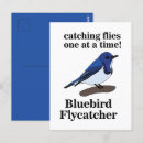 Search for birdwatcher vertical postcards Wildlife
