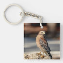 Search for red hawk keychains Wildlife
