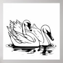 Recherche de cygnes art Blanc
