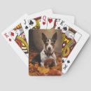 Search for rat playing cards Pet