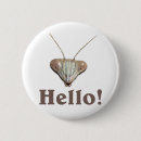 Search for mantis buttons Praying