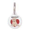 Search for havanese Dog lover