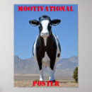 Search for dairy cow posters heifer