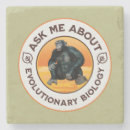 Search for chimp monkey coasters Chimpanzee