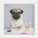 Recherche de anniversaire drôle magnets Bougies
