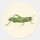 Search for nature border stickers Green