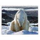 Search for polar bear calendars Arctic