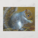 Search for nut with squirrel postcards Woodland