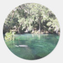 Search for manatee stickers Florida