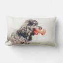 Recherche de jouet coussins Chiens