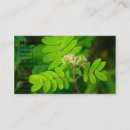 Recherche de gloire cartes visite Flore