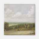 Search for constable magnets Landscape