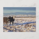 Recherche de scène rurale cartes postales Regarder la caméra