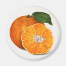 Recherche de brut magnets Fruit