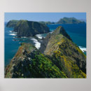 Search for channel islands posters Nature