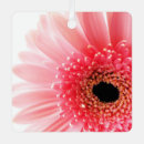 Search for gerbera daisy ornaments Flower