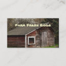 Search for chicken eggs business cards Food