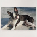 Recherche de boston terrier puzzles Dog