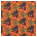 Search for abstract fabric Swirls