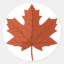Search for maple tree stickers Leaf