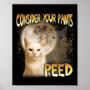 Search for cat meme posters Funny
