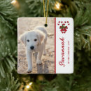 Search for candy cane ornaments First christmas