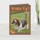 Search for yawning cards Cute