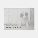 Recherche de border collie photographie Chiot