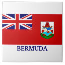 Search for bermuda flags Tropical